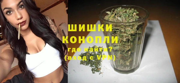 дживик Мегион