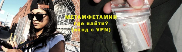 прущие грибы Медвежьегорск