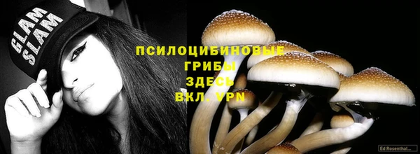 прущие грибы Медвежьегорск