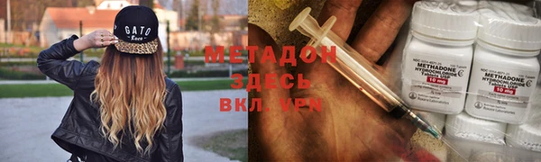прущие грибы Медвежьегорск