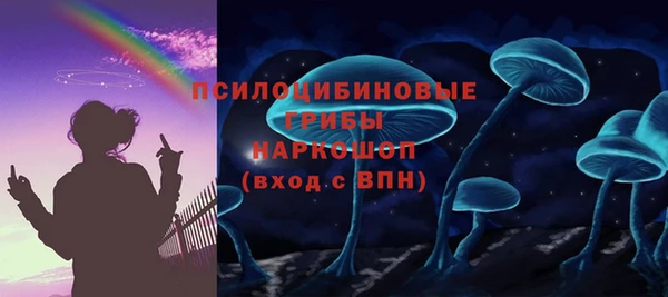 прущие грибы Медвежьегорск