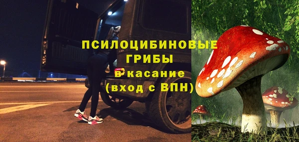 прущие грибы Медвежьегорск