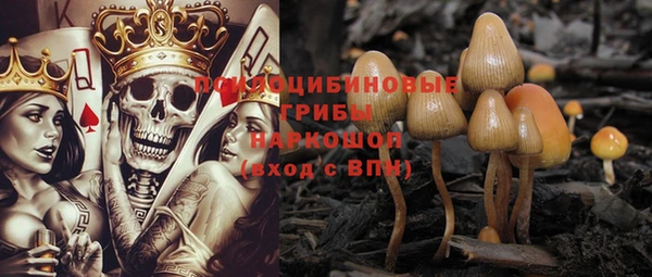 прущие грибы Медвежьегорск