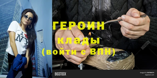 прущие грибы Медвежьегорск
