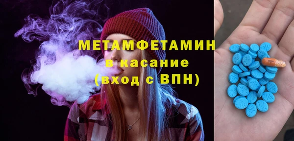 прущие грибы Медвежьегорск