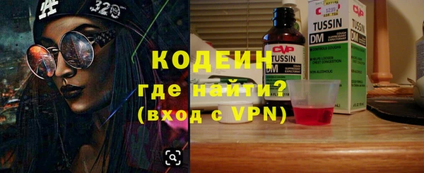 прущие грибы Медвежьегорск