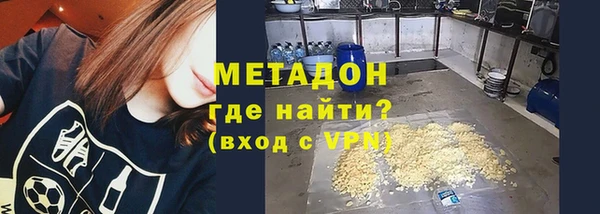 прущие грибы Медвежьегорск