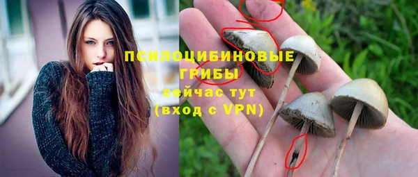 дживик Мегион