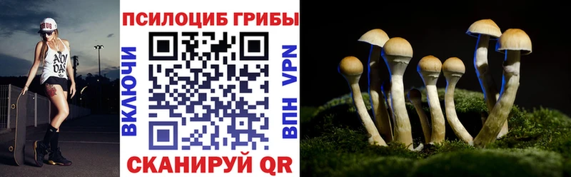 Псилоцибиновые грибы GOLDEN TEACHER Заринск