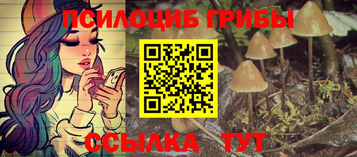 Галлюциногенные грибы Cubensis Заринск