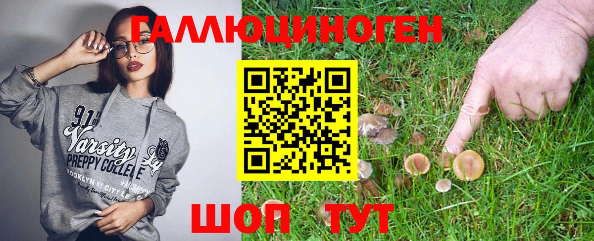 Псилоцибиновые грибы GOLDEN TEACHER  Псилоцибиновые грибы MAGIC MUSHROOMS  Заринск  Вход с VPN 
